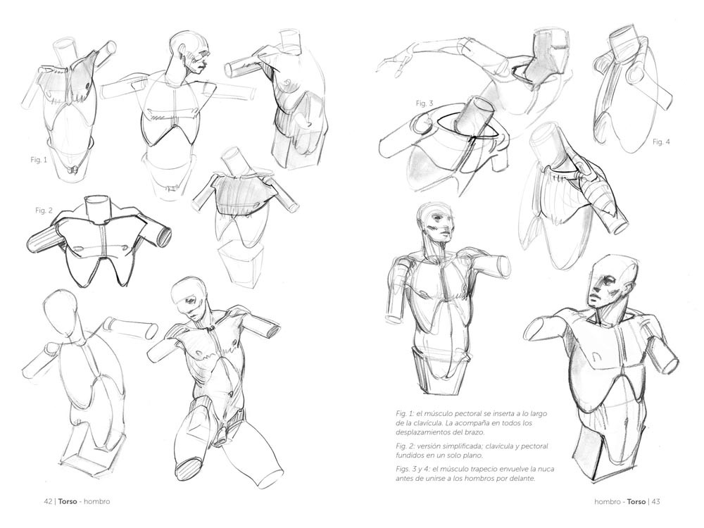 Anatomía Artística 2: Cómo Dibujar El Cuerpo Humano de Forma Esquemática  (Anatomía Artística/ Morpho: Anatomy for Artists, 2)