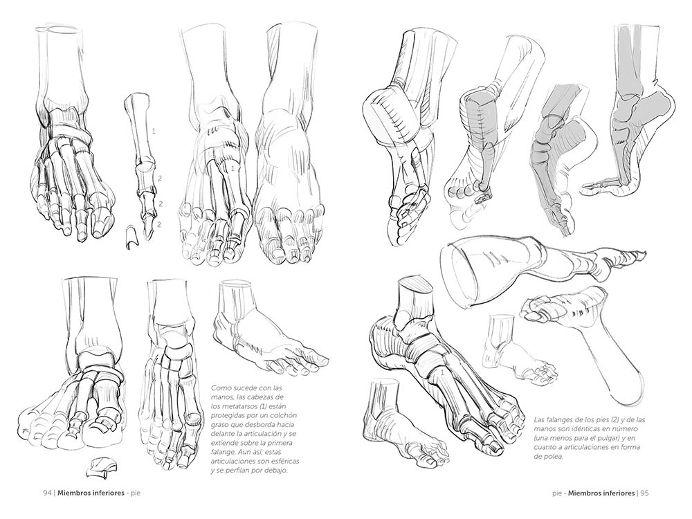 Anatomía artística 3, de Michel Lauricella - Editorial GG