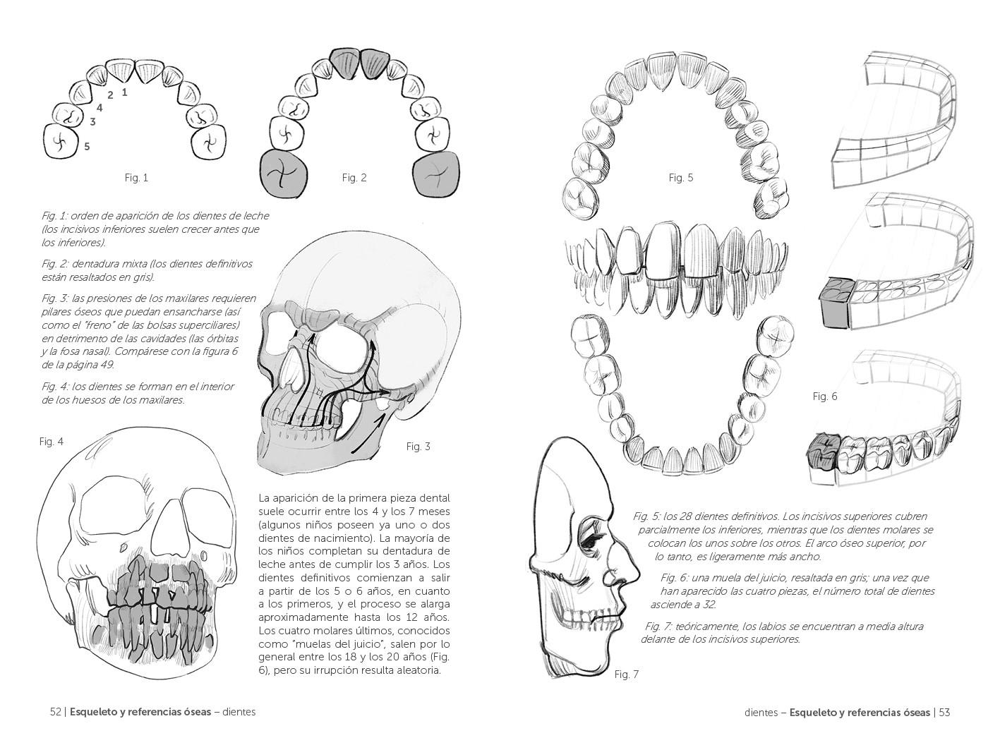 Guía Esencial Del Dibujo Anatomía Artística con Ofertas en