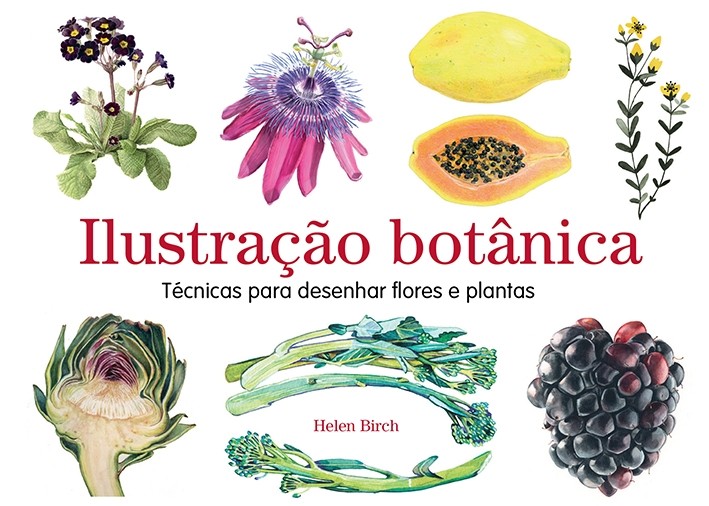 Ilustração botânica